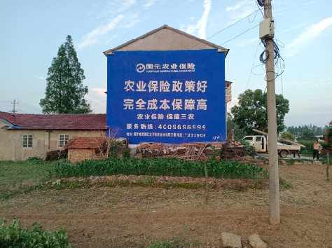 墨江墙体广告为何受追捧？