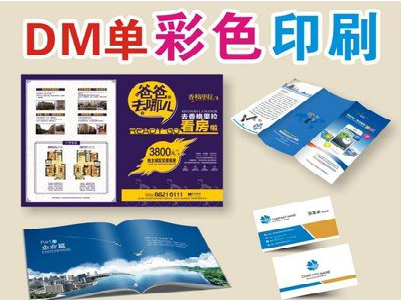 墨江单页印刷,色彩搭配简单。